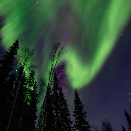 Riverside Log Cabin On-Site Aurora Viewing! North Pole Extérieur photo
