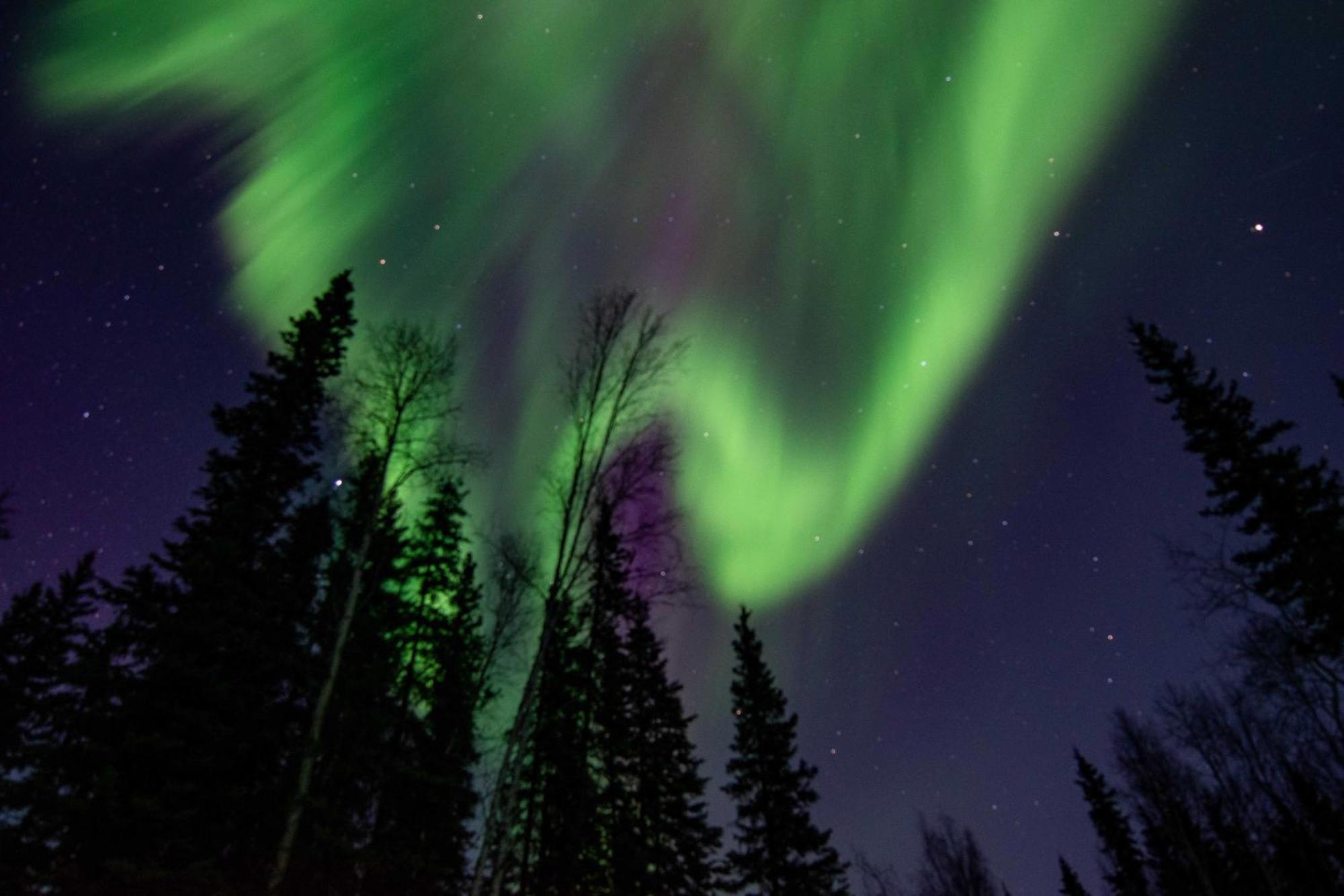 Riverside Log Cabin On-Site Aurora Viewing! North Pole Extérieur photo